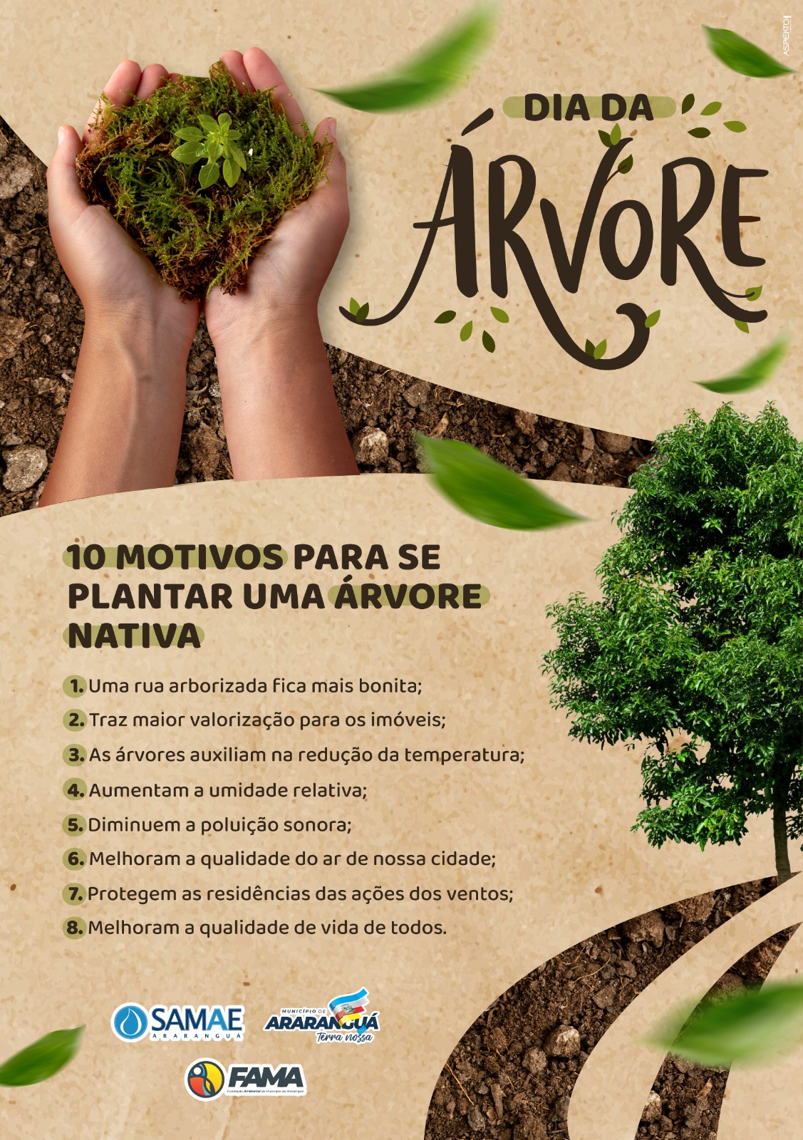 WhatsApp Image 2025-09-08 at 17.17.10.jpeg